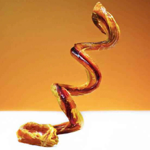 Bully Sticks - Curly