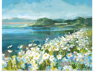 Wild Daisy Bay
