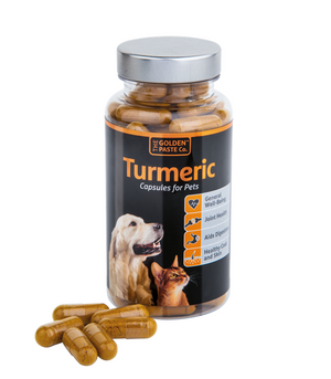 Turmeric Capsules for Pets