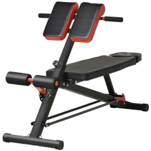 HOMCOM Multifunction Dumbbell Weight Bench,  7-Level Adjustable Hyper Sit-up Bench, Ab Decline Flat Machine