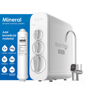 G3P600 with Remineralization Filter Bundle