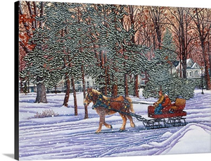 Snowflake Serenade