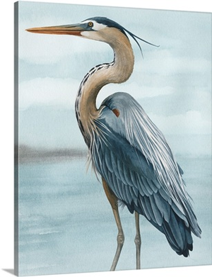 Back Bay Heron II