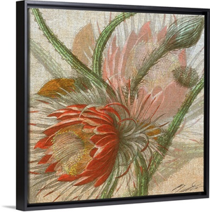 Desert Botanicals II