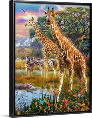 Giraffes