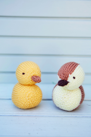 Chick and Duckling Pattern