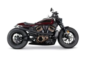 Two Brothers Racing Comp-S 2-Into-1 Exhaust In Black For 2021-2025 Harley Davidson Sportster S RH1250S (005-5410199-B)