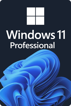 Microsoft Windows 11 Professional license for 3 devices