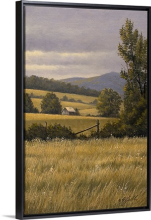 Hayfields Near Arlington