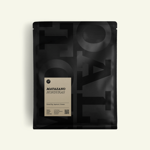 Seasonal Filter Gift Subscription - 6 Months
