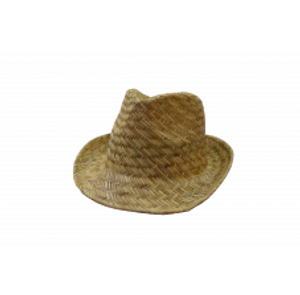 Fedora Natural Straw Hat with Sweat Band