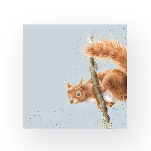Wrendale Designs 'The Acrobat' Squirrel Pack of 20 Lunch Paper Napkins