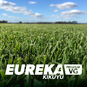 Eureka Premium VG Kikuyu