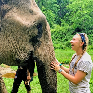Elephant Experience