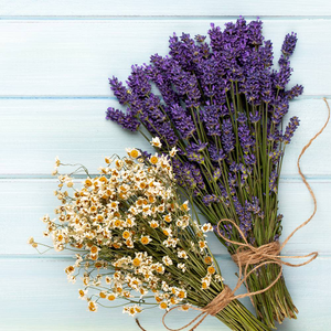 Lavender & Chamomile Fragrance Oil - Allergen Free - 50g