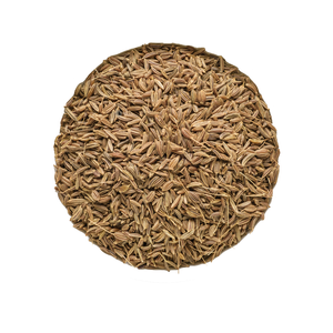 Organic Caraway Seeds 500g