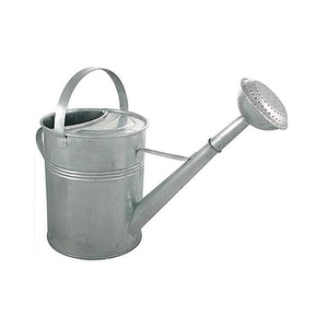 9L Galvanised Watering Can
