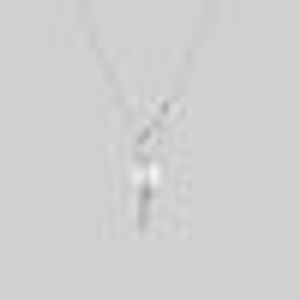TORMENT. Heart & Dagger Carabiner Charm Necklace - Silver - Silver
