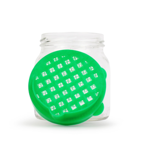 Sprouting Jar (Aconbury)