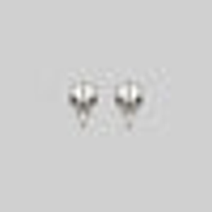 MERLA. Raven Skull Earrings - Silver - Silver / Pair