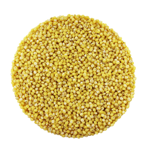 Organic Millet Hulled 25kg Bulk