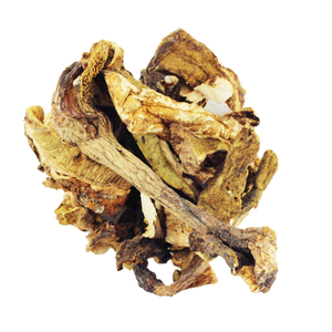 Dried Sliced Porcini Mushrooms 50g 