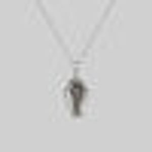 REBIRTH. Rose Under Glass™ Coffin Necklace - Silver - Silver / Simple Trace Chain