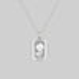 RAPHAEL. Etched Glass Rose Necklace - Silver - Silver