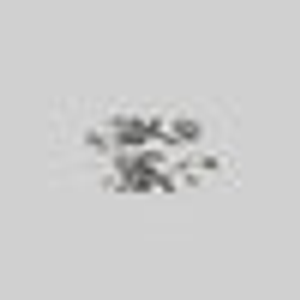 DAMASK. Rose Foliage Wrap Ring - Silver - Silver / Small