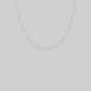 FAYE. Figaro Sunburst Chain - Silver