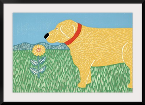 Nature Dog Good Dog Yellow