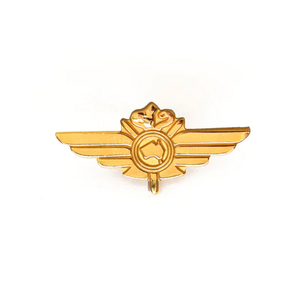 RFDS Pin