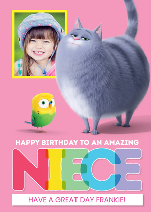 Secret Life Of Pets Niece Birthday Card
