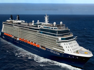 Celebrity Reflection