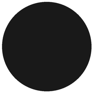 RailMatch 205 Black (15ml enamel)