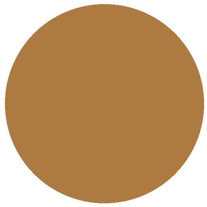 RailMatch 2416 Brake Dust (Acrylic) (18ml)