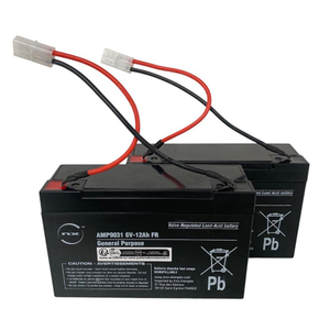 Microcat 6 Volt 12 Ah Bait Boat Battery x 2
