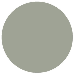 RailMatch 1604 GWR Freight Grey (150ml aerosol)
