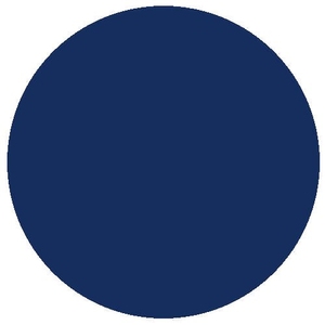 RailMatch 258 DRS Blue (15ml enamel)