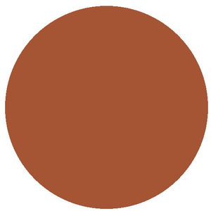 RailMatch 405 Dark Rust (15ml enamel)