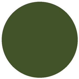 RailMatch 2308 BR Multiple Unit Dark Green (acrylic) (18ml)
