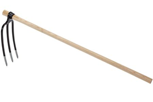 3 Prong Fork