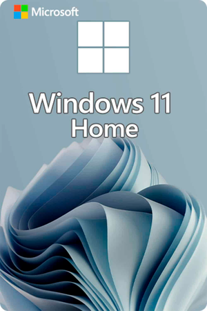 Microsoft Windows 11 Home