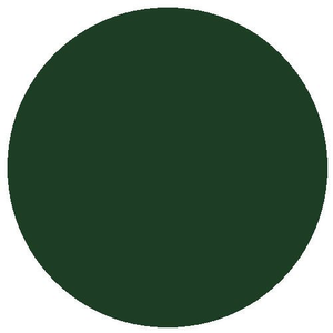 RailMatch 601 GWR Loco Green Post-1928 (15ml Enamel)