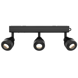 Chauvet DJ Battery Powered LED Accent Light with 3 x LED Spots