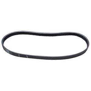 W10006384 Washer Belt