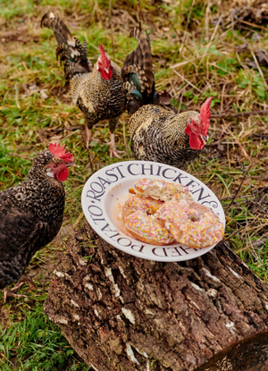 Black Toast Roast Chicken Large Dinner Plate, 10.5 Inch