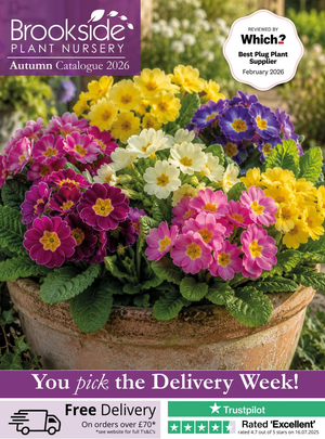 Brookside Nursery Autumn Catalogue
