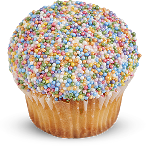 Vanilla Dome Cupcake