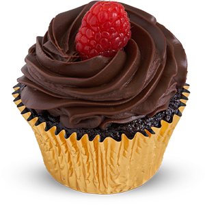 Vegan Gluten Free Fudge Cupcake